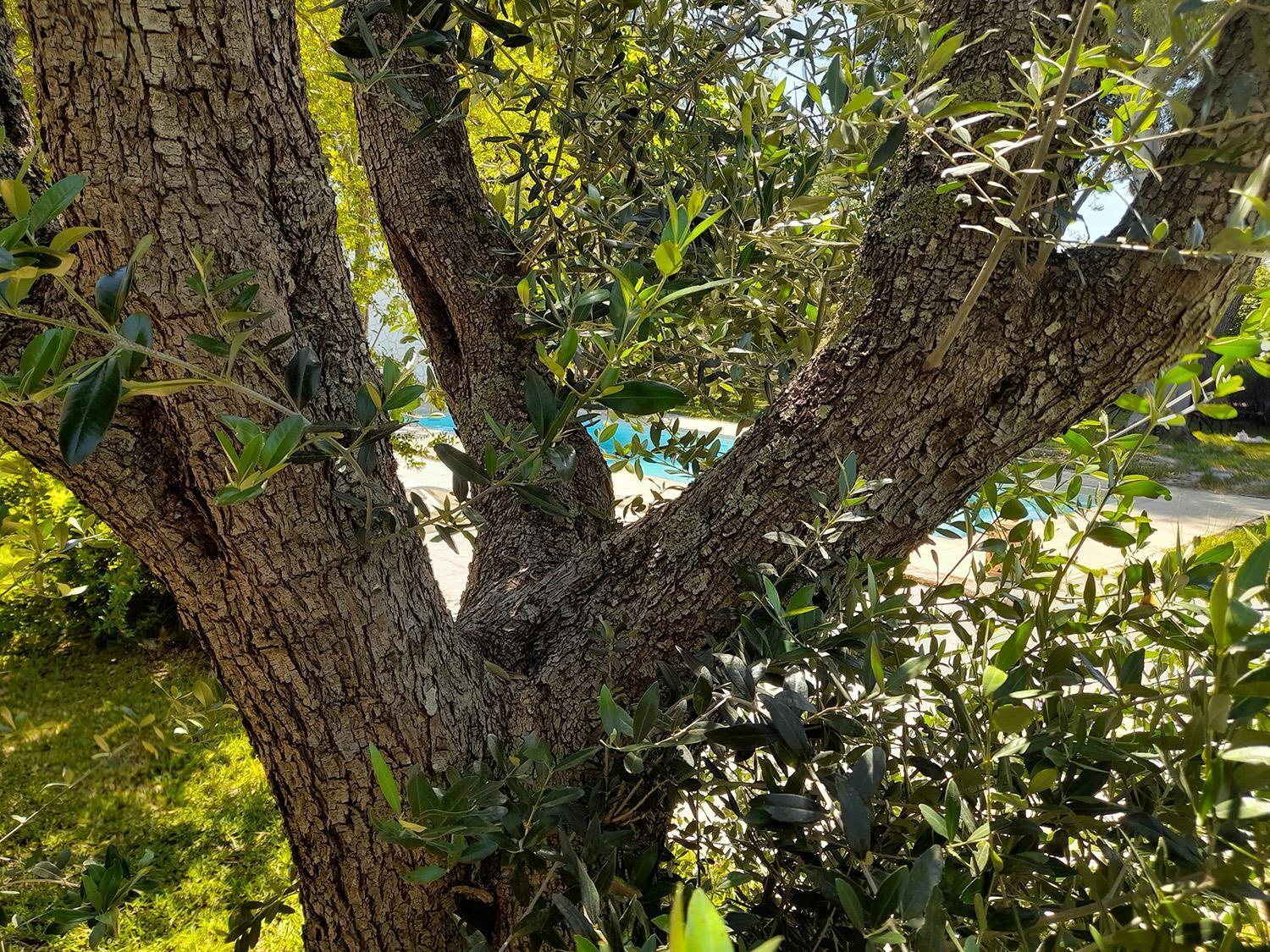 Villa La Dimora Dei Gelsi Castri di Lecce Exterior foto
